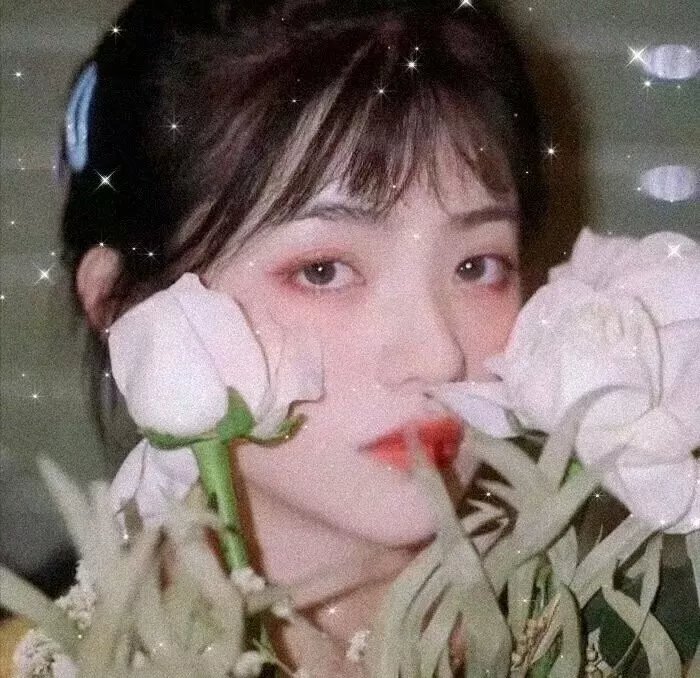 动画人生